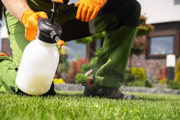 Best Commercial Pest Control Services  in East Liverpool, OH