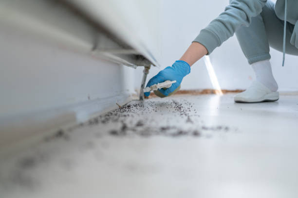 Best Affordable Pest Control Services  in East Liverpool, OH